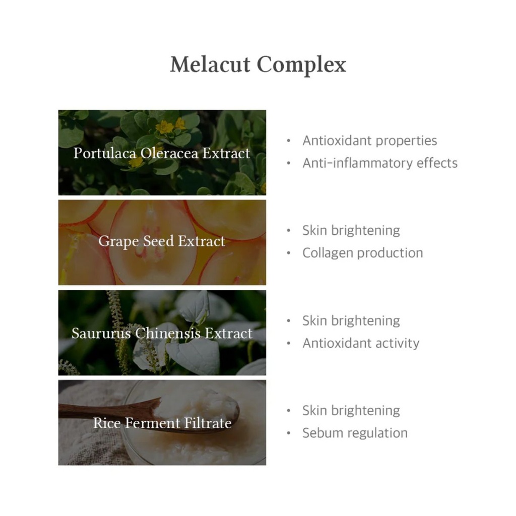 Untitled design (26)