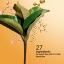 80103084_original_original_C