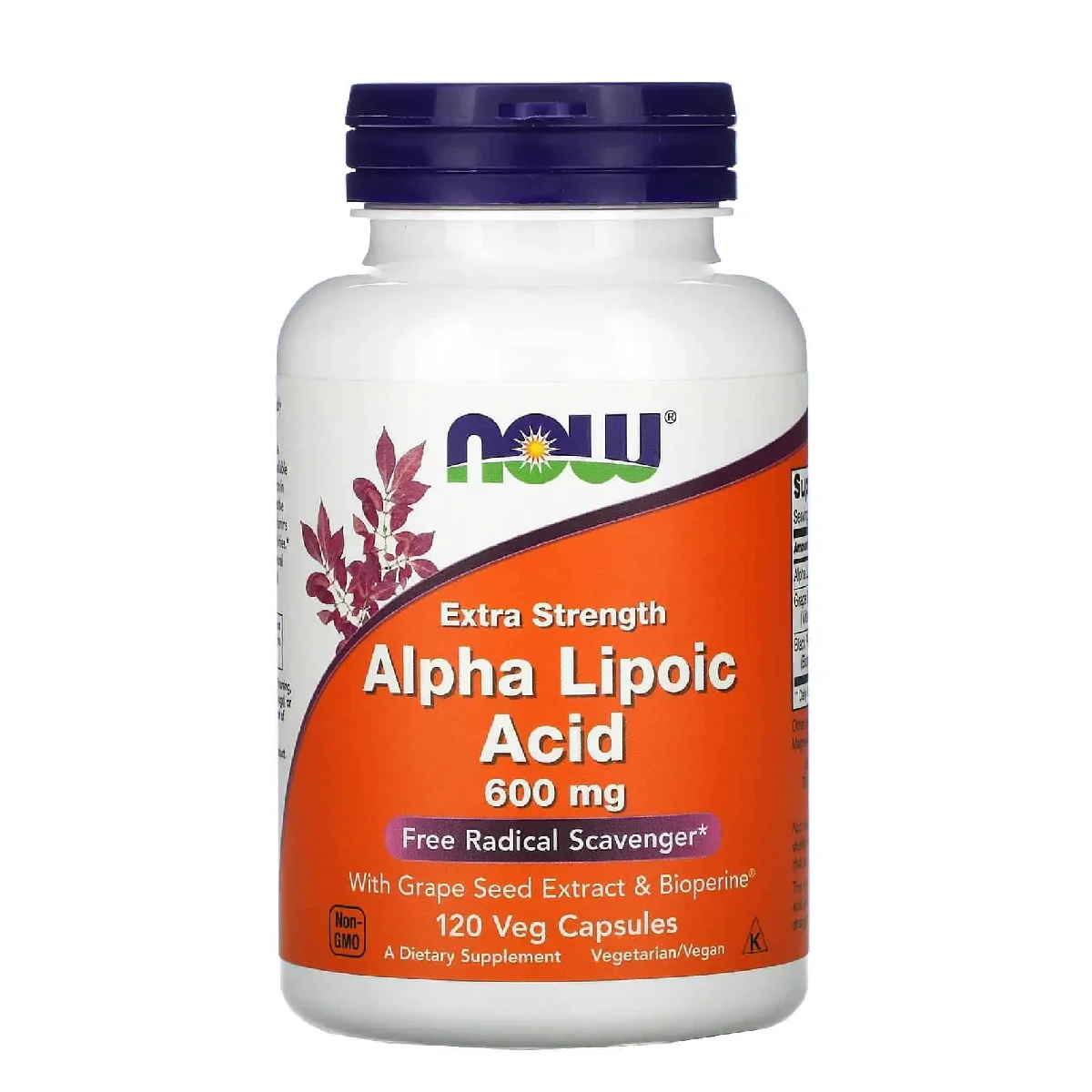Now Alpha Lipoic Acid 600mg – 120 Veg Capsules | Antioxidant Support Supplement
